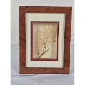 Vintage‎ Skeleton Leaf Art Burl Wood Look Frame Booker Morey 1994 Decor Oak Tree